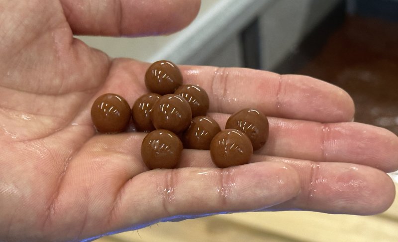 지하 1층에 자리한 힐링풋스파에 깔린 일라이트 광물ⓒ News1 윤슬빈 기자