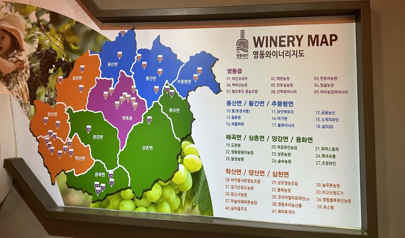 영동에 자리한 와이너리들을 그린 지도ⓒ News1 윤슬빈 기자
