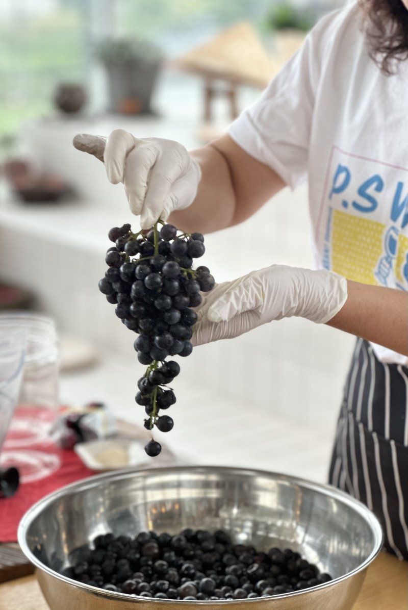 나르샤 품종을 이용한 와인만들기 체험ⓒ News1 윤슬빈 기자