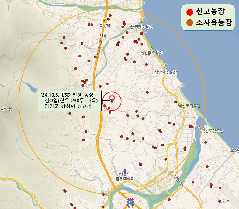 강원자치도, 양양 한우농가 럼피스킨 추가 발생 긴급 방역