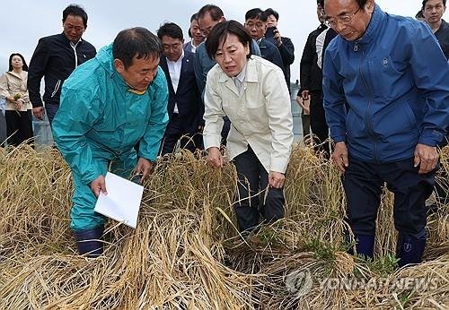 [농식품부 제공. 재판매 및 DB금지]