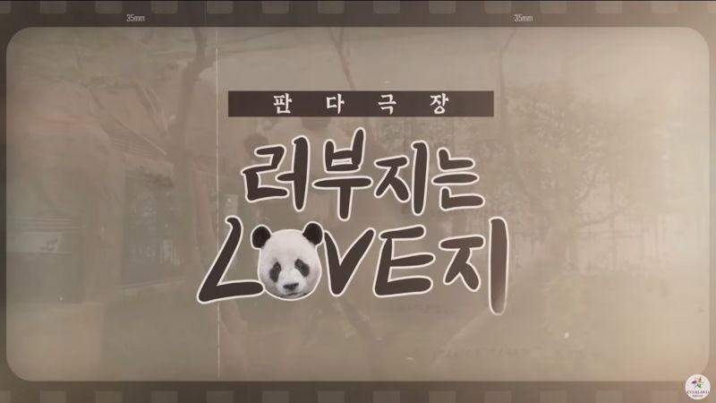 에버랜드 유튜브 '러부지는 LOVE지' 캡처 이미지