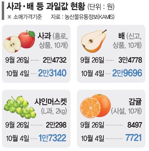 金샤인머스켓 반값 됐다… 과일값 안정세 전환