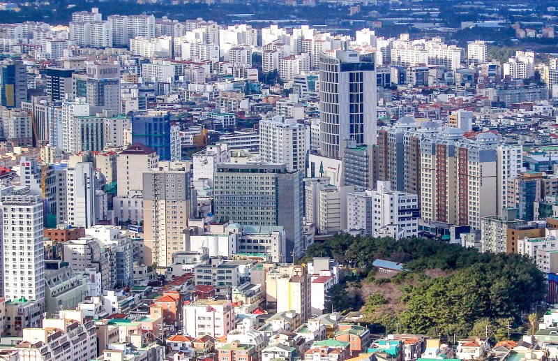 [제주=뉴시스] 제주시 도심 모습. (사진=뉴시스 DB). photo@newsis.com