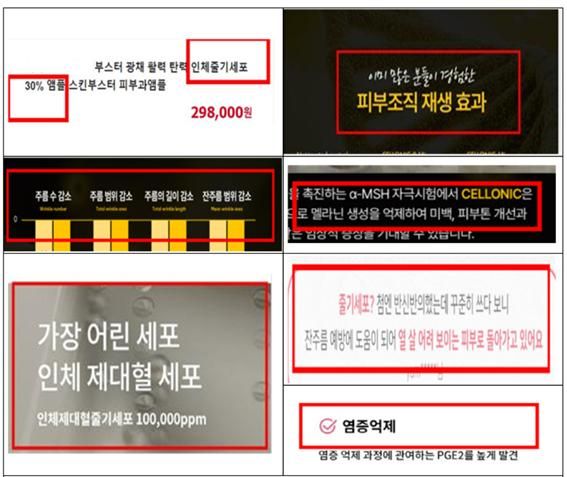 부산시 "줄기세포 화장품 등 허위&middot;과대 광고 주의하세요"