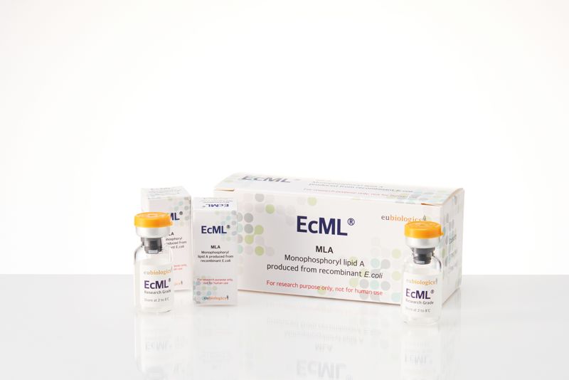 유바이오로직스, 면역증강 물질 ‘EcML’ 제조방법 특허 韓, 美 등록 확정