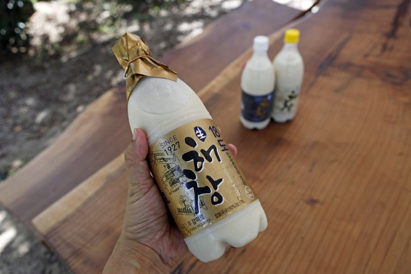 술이 익어가는 마을... 노랗게 물들어가는 가을 들녘
