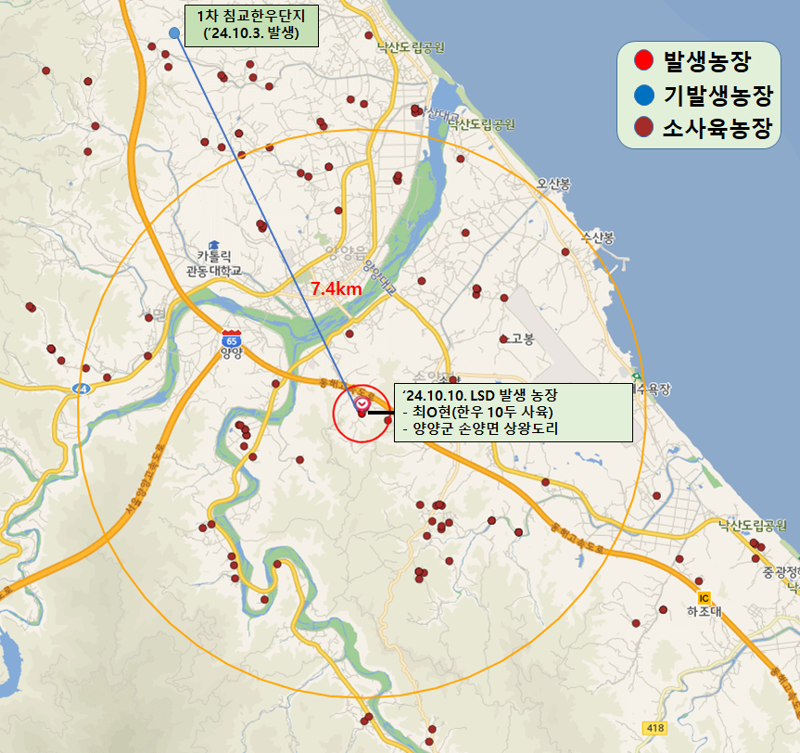 지난 10일 양양군 손양면 소재 한우농가에서 럼피스킨이 추가 발생했다. 강원자치도 제공