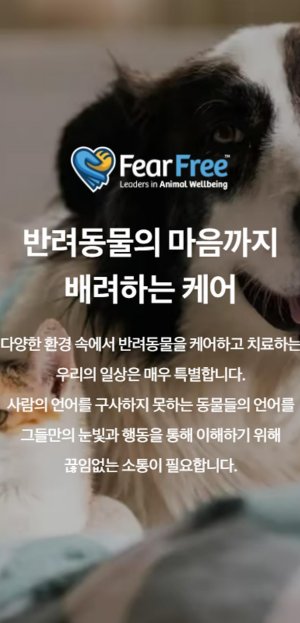 위쪽부터 젠트리 ‘두리틀’, 포옹 ‘포옹Labs’, 피어프리