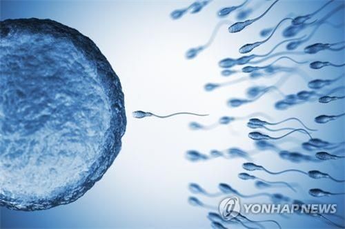 죽은 내 아들 정자로 손주 보게 해달라 소송한 인도 부모, 결과는