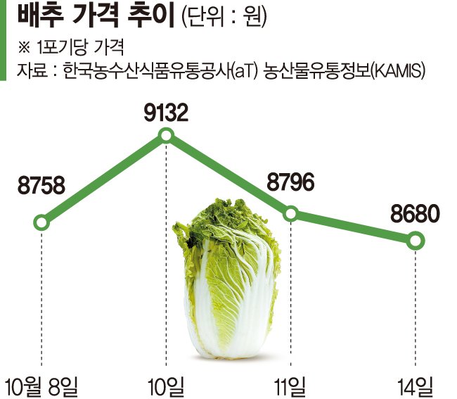 배춧값 꺾였지만 여전히 금값