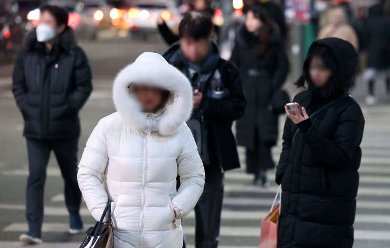 [서울=뉴시스] 김선웅 기자 = 한파가 이어진 지난 1월24일 저녁 서울 중구 명동에서 퇴근하는 직장인 등 시민들이 길을 걷고 있다. 2024.01.24. mangusta@newsis.com