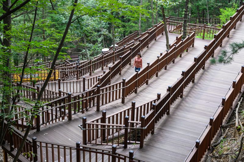 천안 태조산 산림레포츠단지에 조성된 무장애나눔길