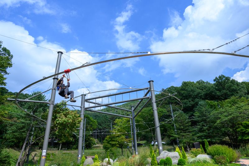 천안 태조산 산림레포츠단지에서 즐길 수 있는 짚코스터