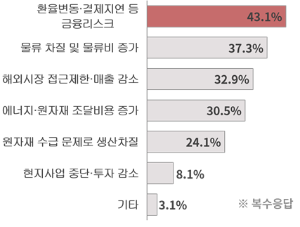 지정학적 리스크 피해 유형