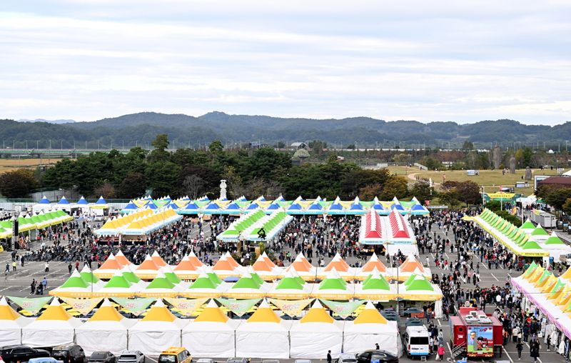 '제19회 파주개성인삼축제. /파주시 제공