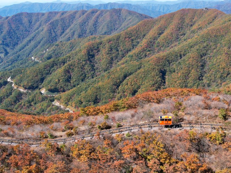 산등성이를 따라 오르내릴 수 있는 경남 함양 대봉산휴양밸리 모노레일. 한국관광공사 제공