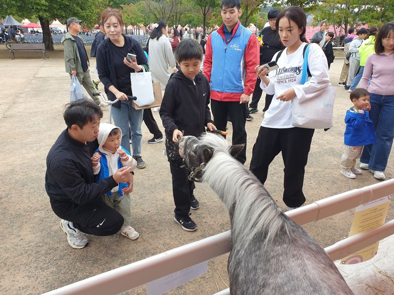 김해 가야문화축제장을 들린 관람객들이 한국마사회 렛츠런파크 부산경남에서 참가해 선보인 미니호스에 큰 관심을 보이고 있다. 한국마사회 제공