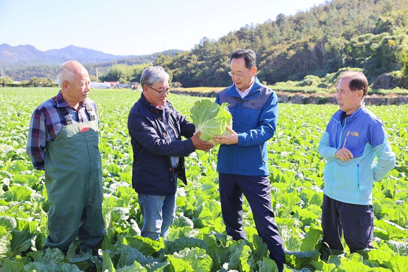 명현관 해남군수(사진 오른쪽에서 두 번째)가 24일 마산면 배추 재배 농가 현장을 찾아 생육 상황을 점검하고 있다. 해남군 제공