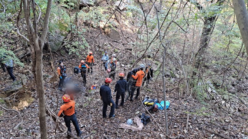 진안 야산서 버섯 캐던 40대 남성 50m 추락, 결국...