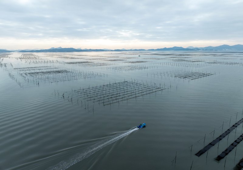 '검은 반도체' 상용화 경쟁 후끈..대상·풀무원·CJ제일제당 뛰어든 '이 사업'