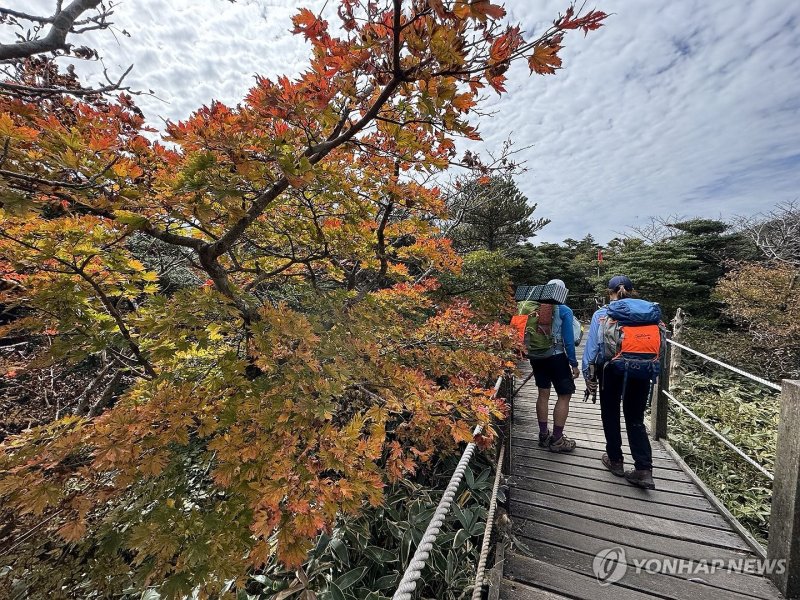어느새 물든 한라산 단풍 어느새 물든 한라산 단풍 (제주=연합뉴스) 박지호 기자 = 16일 오후 외국인 탐방객들이 단풍이 물든 제주 한라산 영실코스를 따라 등반하고 있다. 2024.10.16 jihopark@yna.co.kr (끝)