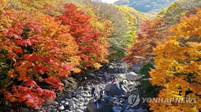 2020년 10월 30일 촬영한 한라산 천아계곡 단풍 한라산 천아계곡 단풍 (제주=연합뉴스) 박지호 기자 = 30일 오전 제주시 무수천 상류 천아계곡을 찾은 탐방객들이 울긋불긋 예쁘게 물든 단풍을 감상하고 있다. 2020.10.30 jihopark@yna.co.kr (끝)