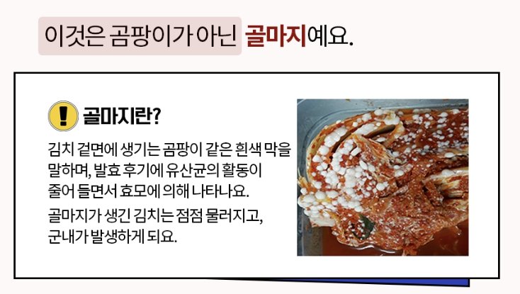 "김치에 곰팡이가..." 버리기 전에 고민해야 하는 이유