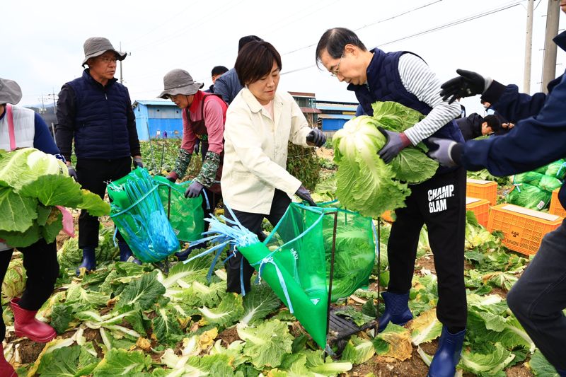 배추 가격 안정 위해 현장으로 가는 총리, 농식품부 장관