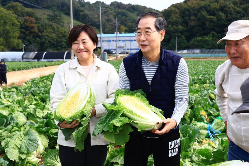 배추 가격 안정 위해 현장으로 가는 총리, 농식품부 장관