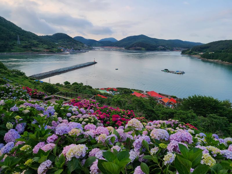 전남도는 산림청과 한국수목원정원관리원에서 전국의 민간정원을 대상으로 선정한 '대한민국 아름다운 민간정원 30선'에 '고흥 힐링파크 쑥섬쑥섬' 등 전남지역 10개소가 포함돼 전국 최다를 기록했다고 28일 밝혔다. 전남도 제공