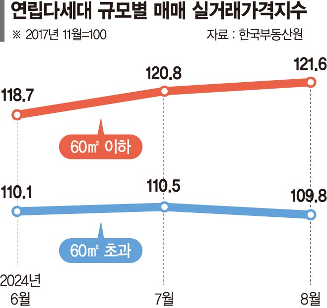 대출 죄자 실수요자 소형 연립 등 몰려