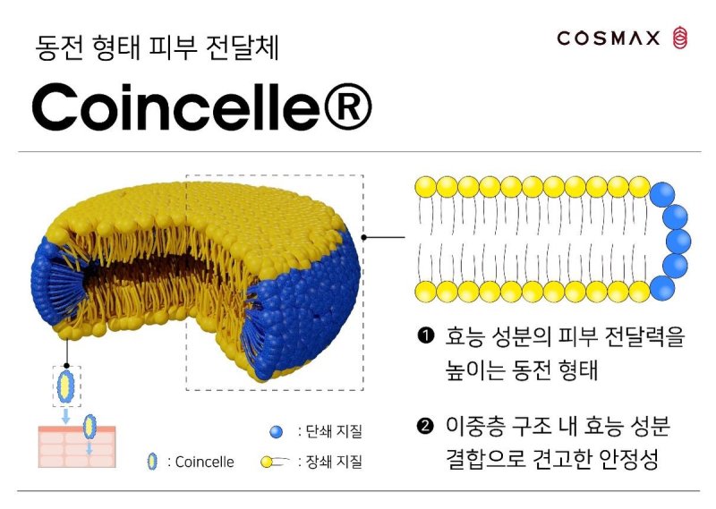 코스맥스가 개발한 피부 침투력 높인 피부 전달체 코인셀. 코스맥스 제공