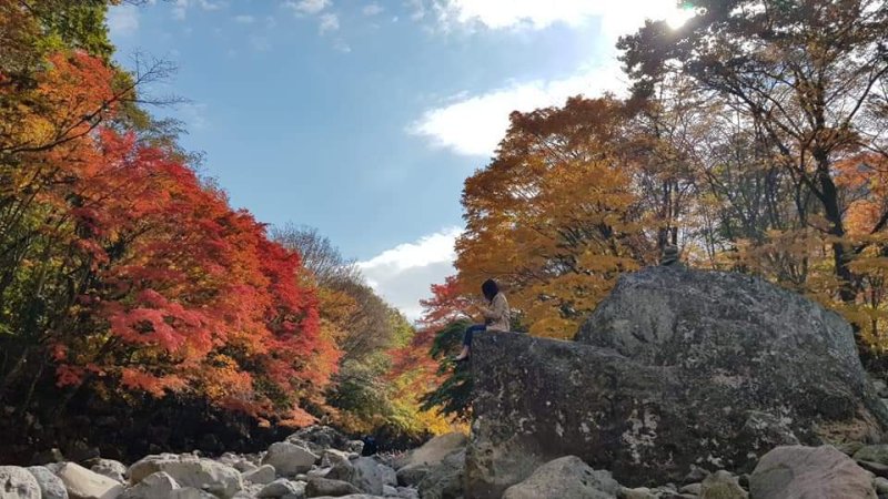 [제주=뉴시스] 제주지역 단풍 명소 가운데 하나인 천아계곡 주변의 교통혼잡을 해소하기 위해 임시 주차장이 운영된다. (사진=제주도 제공) 2024.10.29. photo@newsis.com *재판매 및 DB 금지