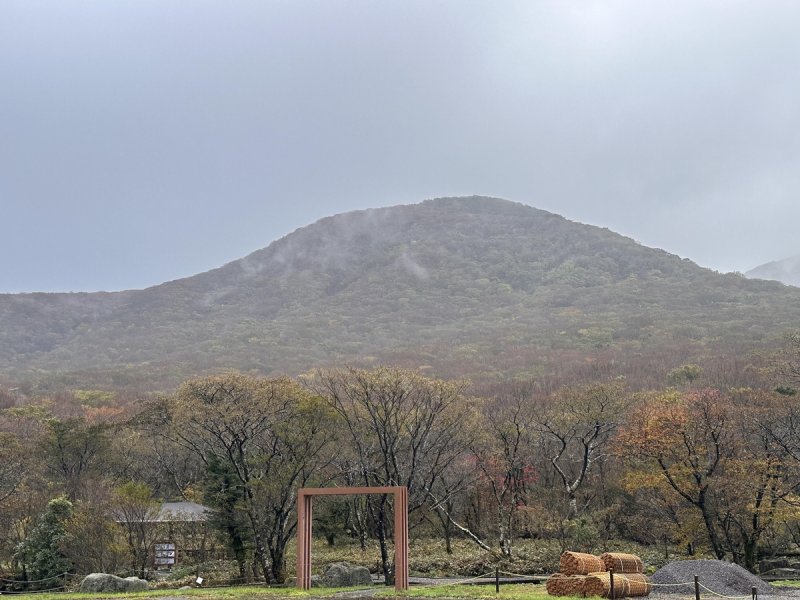지난 29일 한라산 어리목광장에서 관측한 단풍 상황 [기상청 날씨누리 갈무리. 재판매 및 DB 금지]