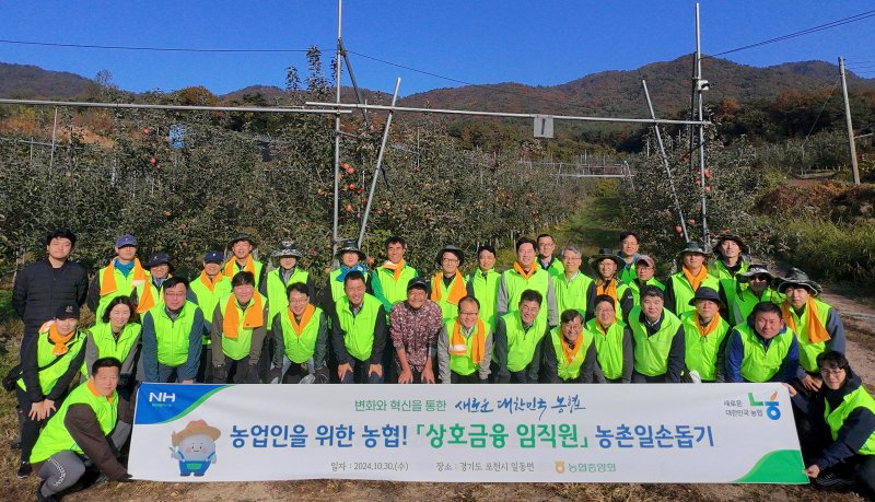 농협 상호금융, 수확기 농촌 일손돕기 동참