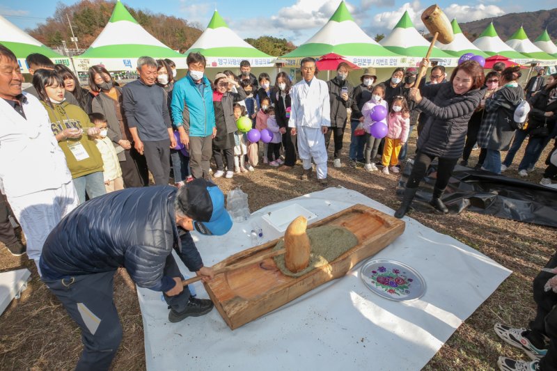 청춘양구 펀치볼 시래기사과축제.(자료사진)/뉴스1