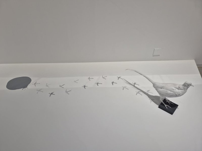 이강소의 '꿩' (서울=연합뉴스) 황희경 기자 = 국립현대미술관 서울관에서 11월1일 시작하는 이강소 개인전 '풍래수면시'에 전시된 '꿩'(1972/2018 재제작). 2024.10.31. zitrone@yna.co.kr