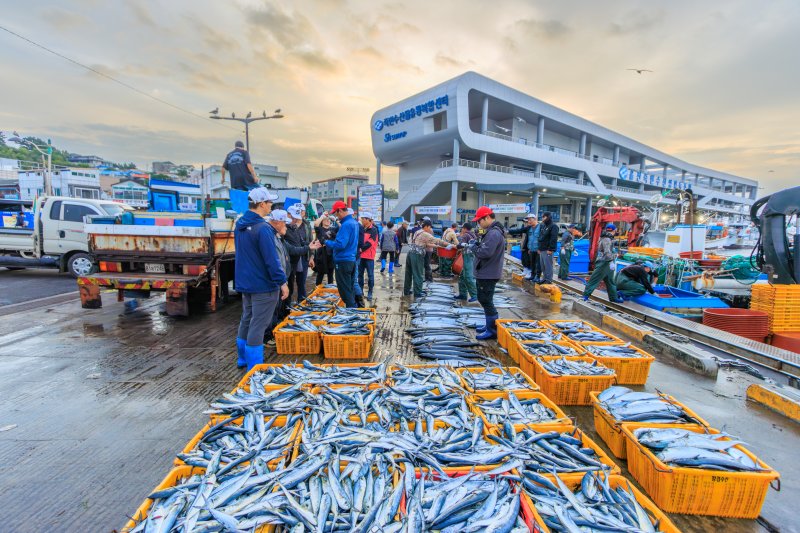 울진 죽변항 수산시장 위판장