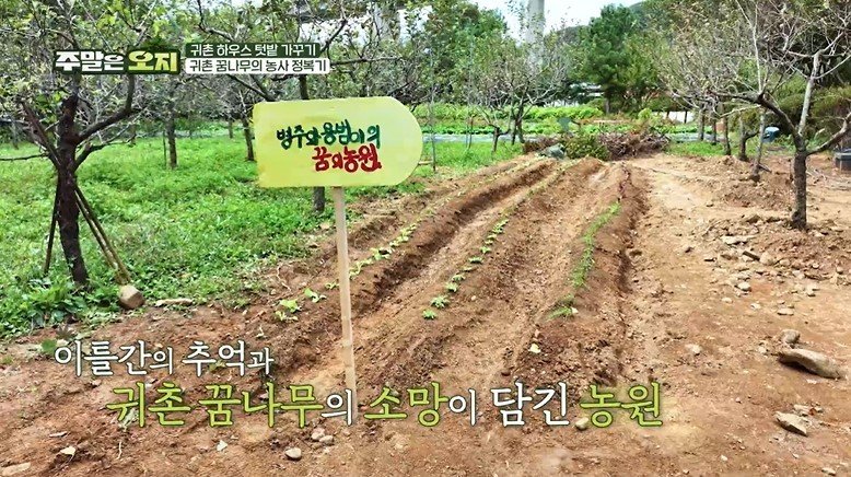 '주말은오지' 생사 오갔던 60대 가장…절친과 함께한 귀농의 추억