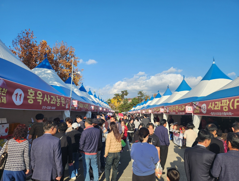 제9회 홍천 사과축제 성황리 종료. 홍천군 제공