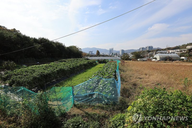 '그린벨트 해제 택지' 관건은 속도…정부는 "5년 후 첫 분양"(종합)