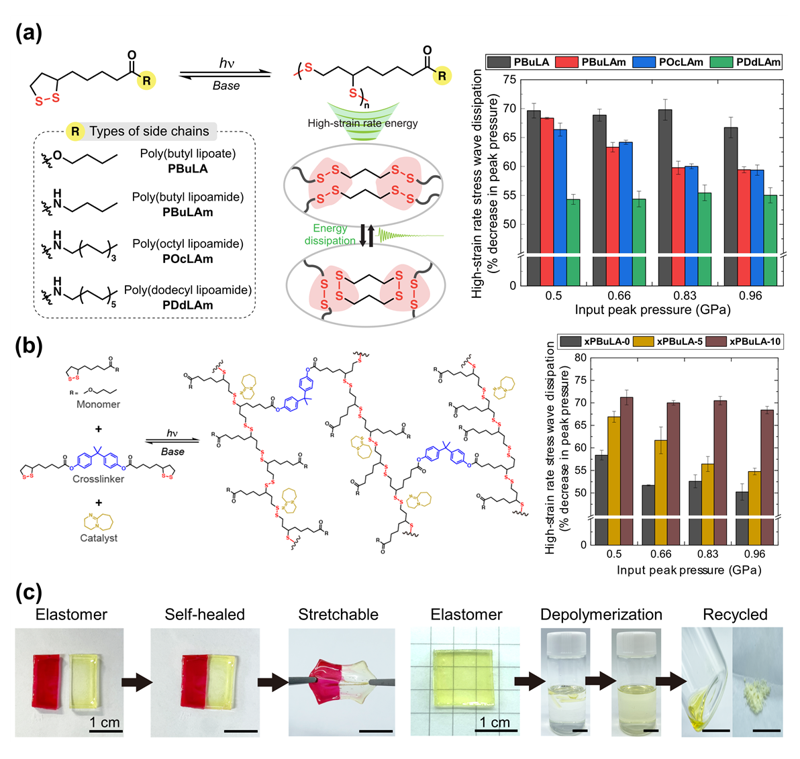▲자가 치유, 화학적 재활용이 가능한 동적 공유 결합 고분자 재료의 모식도와 고에너지 소산 능력 평가. 부산대 제공