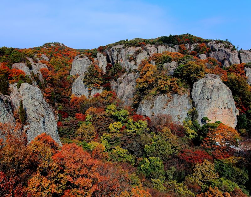 전북 고창 선운산이 단풍에 물든 모습. 고창군 제공