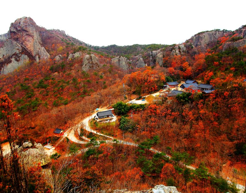 전북 고창 선운산 단풍 풍경. 고창군 제공