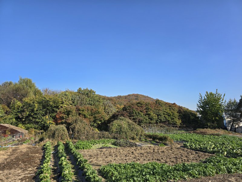 서울 원지동 그린벨트 지역 농지 사진=김영권 기자