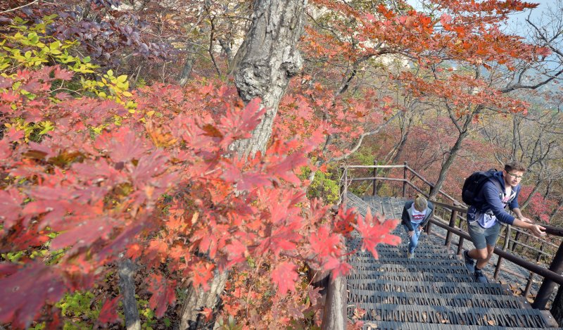 서울 북한산에서 외국인 등산객들이 단풍이 물들기 시작한 등산로를 걸으며 가을을 만끽하고 있다. ⓒ News1 김명섭 기자
