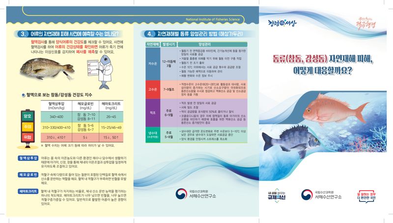 국립수산과학원, 돔류 폐사 예방 리플릿 배포