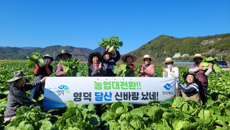 영덕군에서 소득 배당 2호 모델 나와