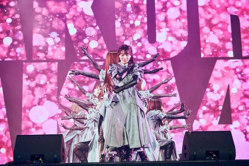 J팝 대세 걸그룹 '사쿠라자카46', 韓서도 인기 확인